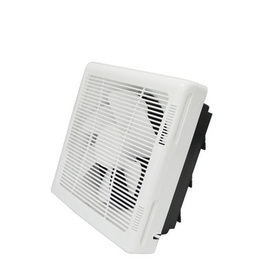 AC-Strom Typ 8 Zoll Decke Kunststoff Lüftung Stille Auspuffventilator für Küche Badezimmer Toilette